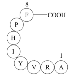 Angiotensin 1/2 + A (2 - 8)