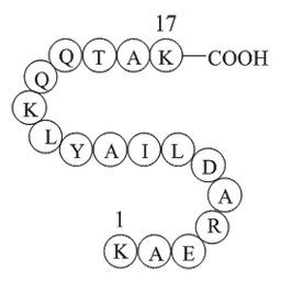Cytochrome c - pigeon (88-104)