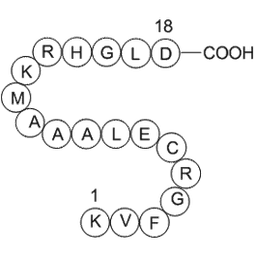 egg white lysozyme (19-36) [Gallus gallus]