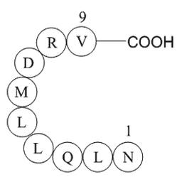 eukaryotic translation initiation factor 3