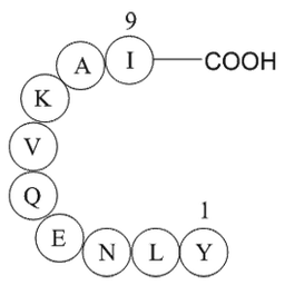 ferritin heavy chain fragment [Multiple species]