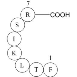 immunoglobulin light chain variable region fragment [Homo sapiens]
