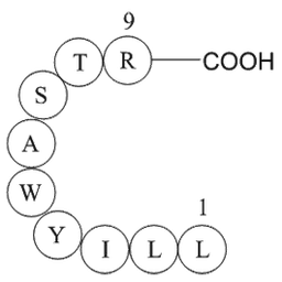 immunoglobulin light chain variable region fragment [Homo sapiens]/[Mus musculus]