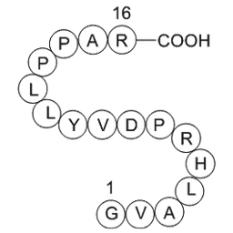 Immunoglobulin M heavy chain (IGHM) fragment [Homo sapiens]
