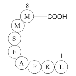 Influenza A virus fragment