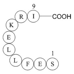 Large T antigen - rhesus polyomavirus 560-568