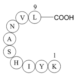 MAP kinase fragment [Multiple species]