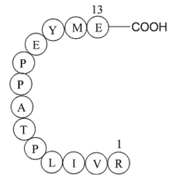 matrix protein (3-15) [Zaire ebolavirus]