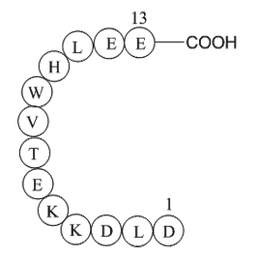 MHC class II antigen (45-57) [Homo sapiens]