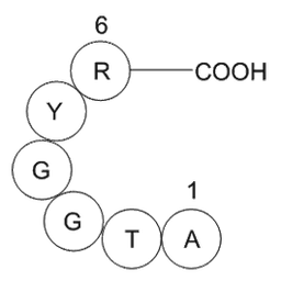 prostate apoptosis response protein PAR-4 (2-7) [Homo sapiens]