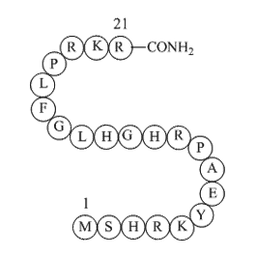 Ribosomal protein L3 peptide (202-222) amide