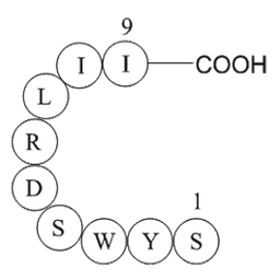 signal transducer and activator of transcription 6 fragment