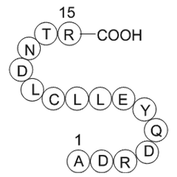 transferrin fragment