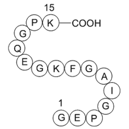 type II collagen fragment