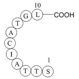 ubiquitin specific protease 3 fragment