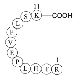 vitamin D binding protein precursor (353-363) [Homo sapiens]
