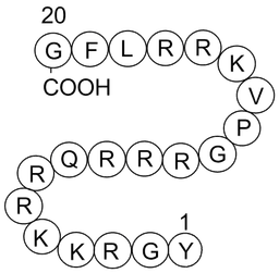 Cdk2/Cyclin Inhibitory Peptide I