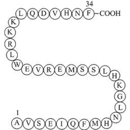 Parathyroid Hormone (1-34), bovine