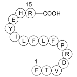 heparin cofactor II precursor (SERPIND1) fragment [Homo sapiens]