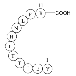 heparin cofactor II precursor fragment [Homo sapiens]