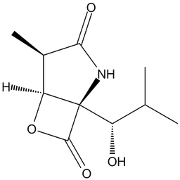 Clasto-Lactacystin β-lactone