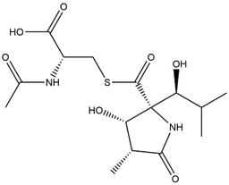 Lactacystin (Synthetic)