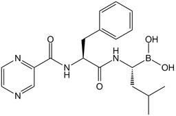 Bortezomib (PS-341)