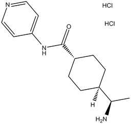 Y-27632 dihydrochloride