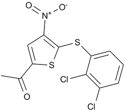 P005091