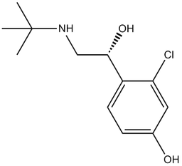 HOKU-81