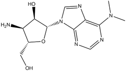 Puromycin aminonucleoside