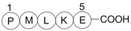Bax inhibitor peptide P5