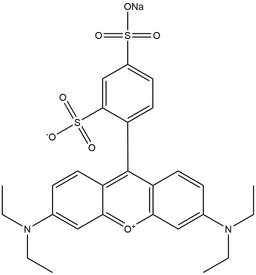 Sulforhodamine B sodium salt