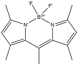 BODIPY 493/503