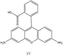 Rhodamine 110 (chloride)