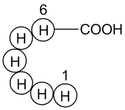 Hexa His tag peptide