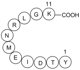 VSV-G Peptide