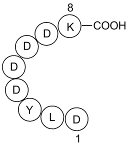 X-press Tag Peptide