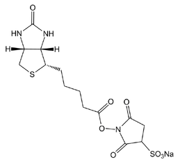 Sulfo-NHS-Biotin