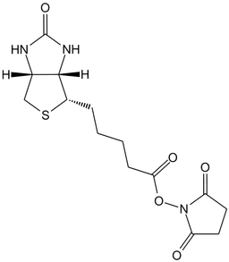 NHS-Biotin