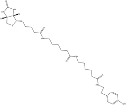Biotin-XX Tyramide Reagent
