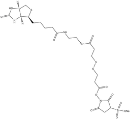 Sulfo-NHS-SS-11-Biotin