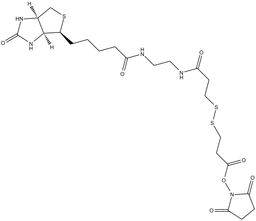 NHS-SS-11-Biotin