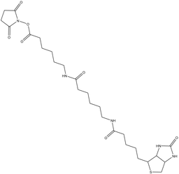 NHS-LC-LC-Biotin