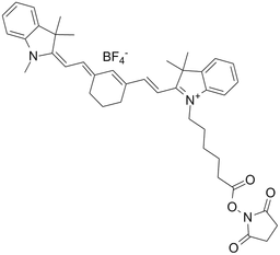 Cy7 NHS ester (non-sulfonated)
