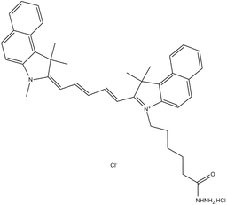 Cy5.5 hydrazide (non-sulfonated)