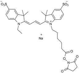Cy3 NHS ester(Et)