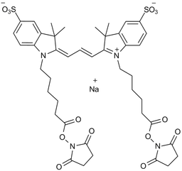 Cy3 Bis NHS ester