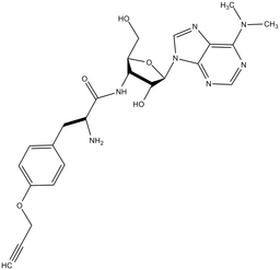 O-propargyl-puromycin (OPP)