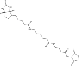 NHS-12-Biotin